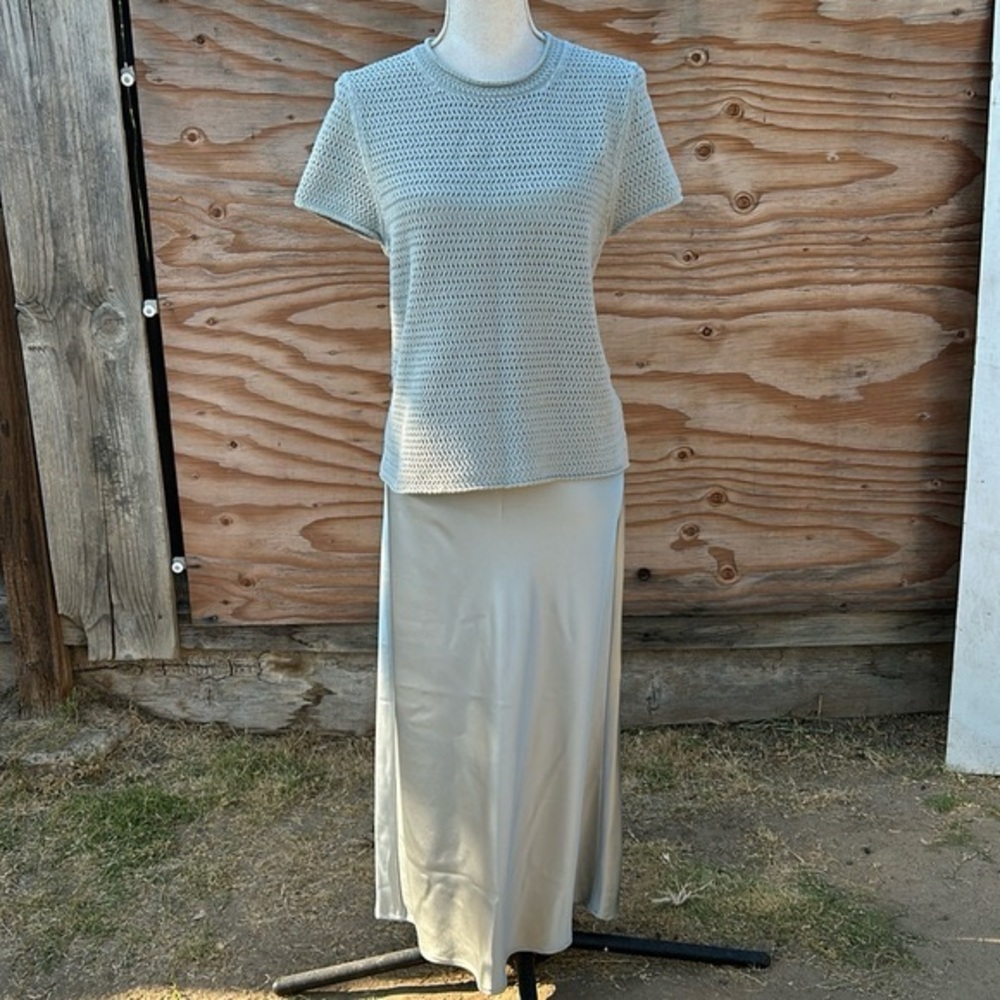 NWT Joie Slip Skirt Set